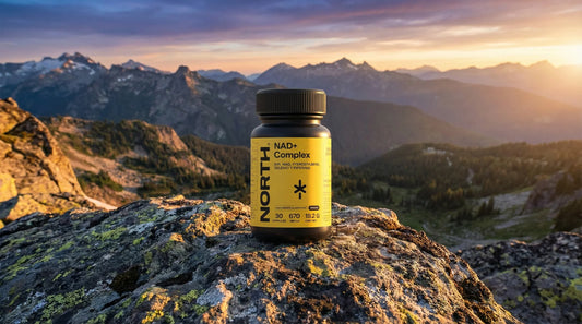 NAD+: Para Qué Sirve y Cómo Funciona