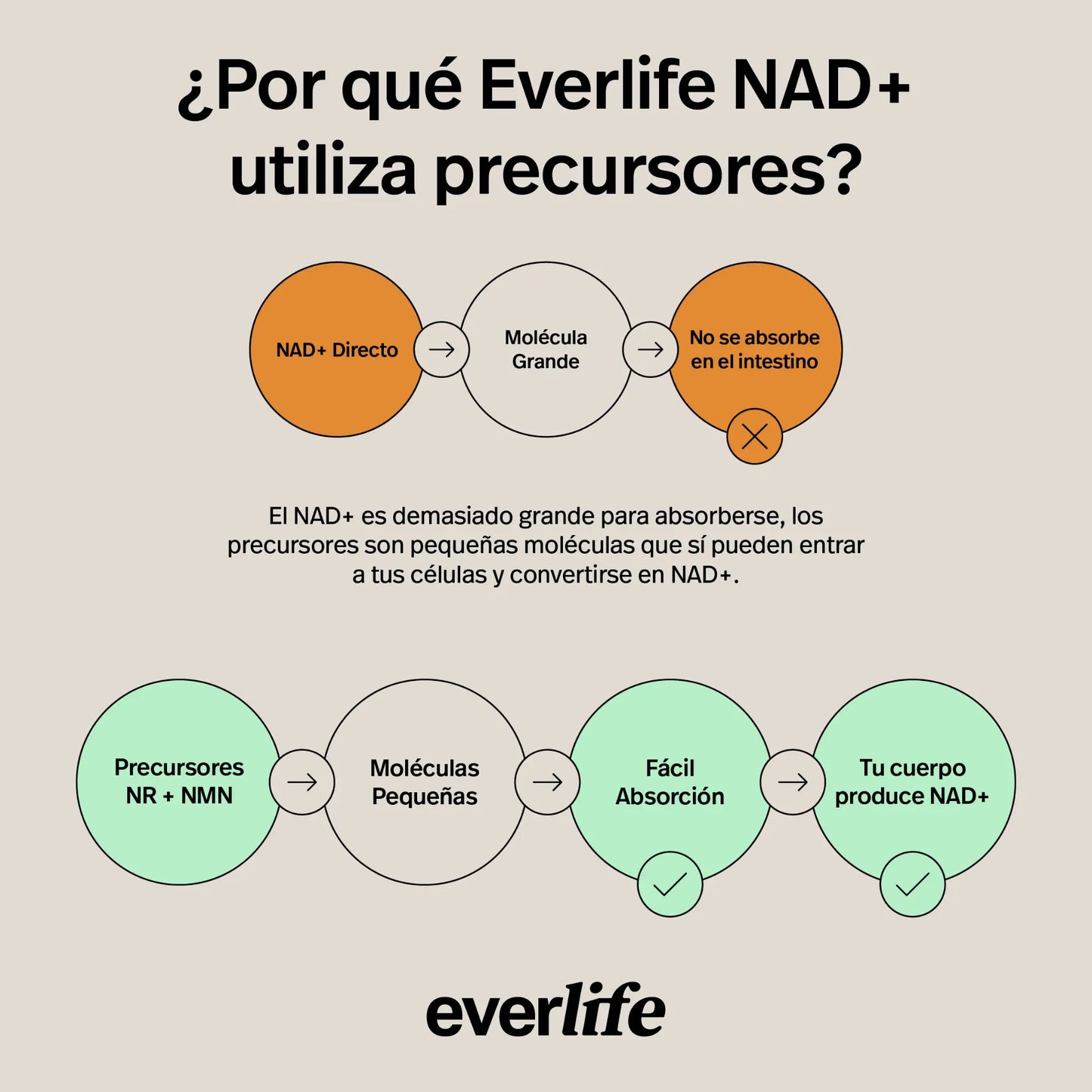 EVERLIFE NAD+
